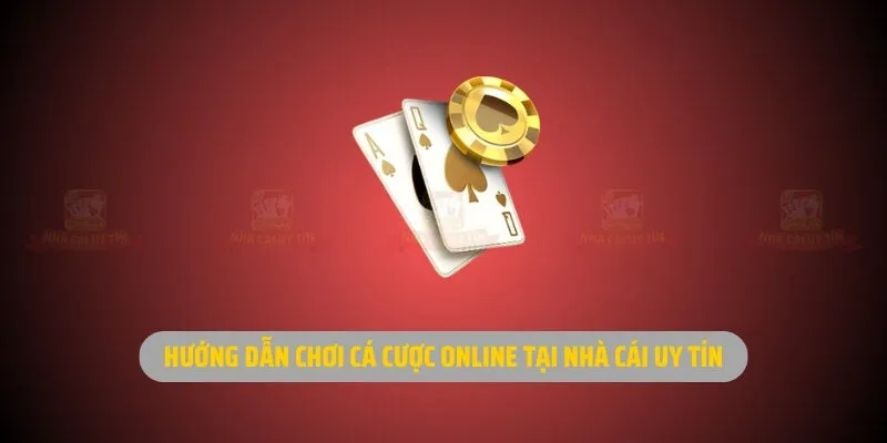 Hướng dẫn chơi cá cược online